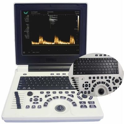 品質  12in LCD Display Veterinary Ultrasound Equipment For Large Animals FDA ISO 工場