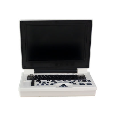 品質  Clinic Doppler Portable Veterinary Ultrasound Machine Li Battery For Dog 工場