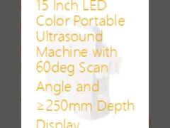15 インチ LED カラー ポータブル 超音波 マシン 60 度 スキャン 角度 と ≥ 250mm 深さ ディスプレイ